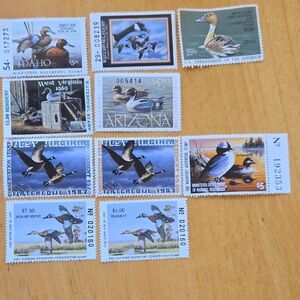 10 Duck Stamp- Most In Mint Condition